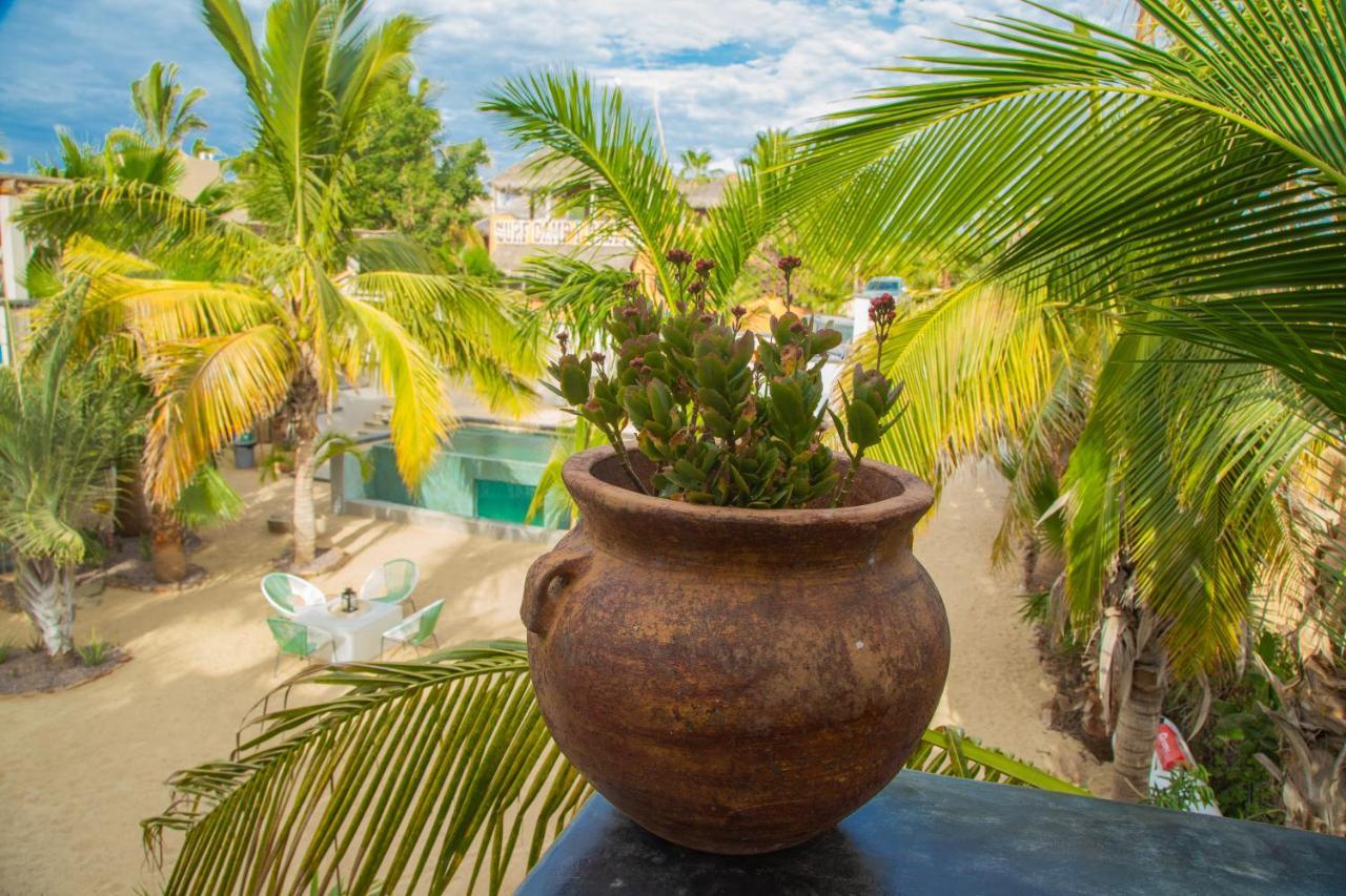 Pure Baja Private Suites-Upscale Property With Infinity Pool And Lush Gardens El Pescadero  Ngoại thất bức ảnh
