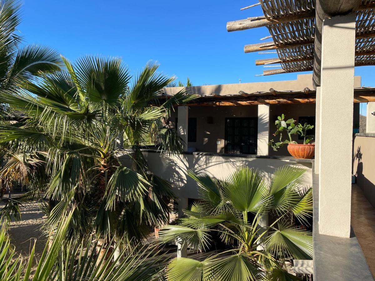 Pure Baja Private Suites-Upscale Property With Infinity Pool And Lush Gardens El Pescadero  Ngoại thất bức ảnh