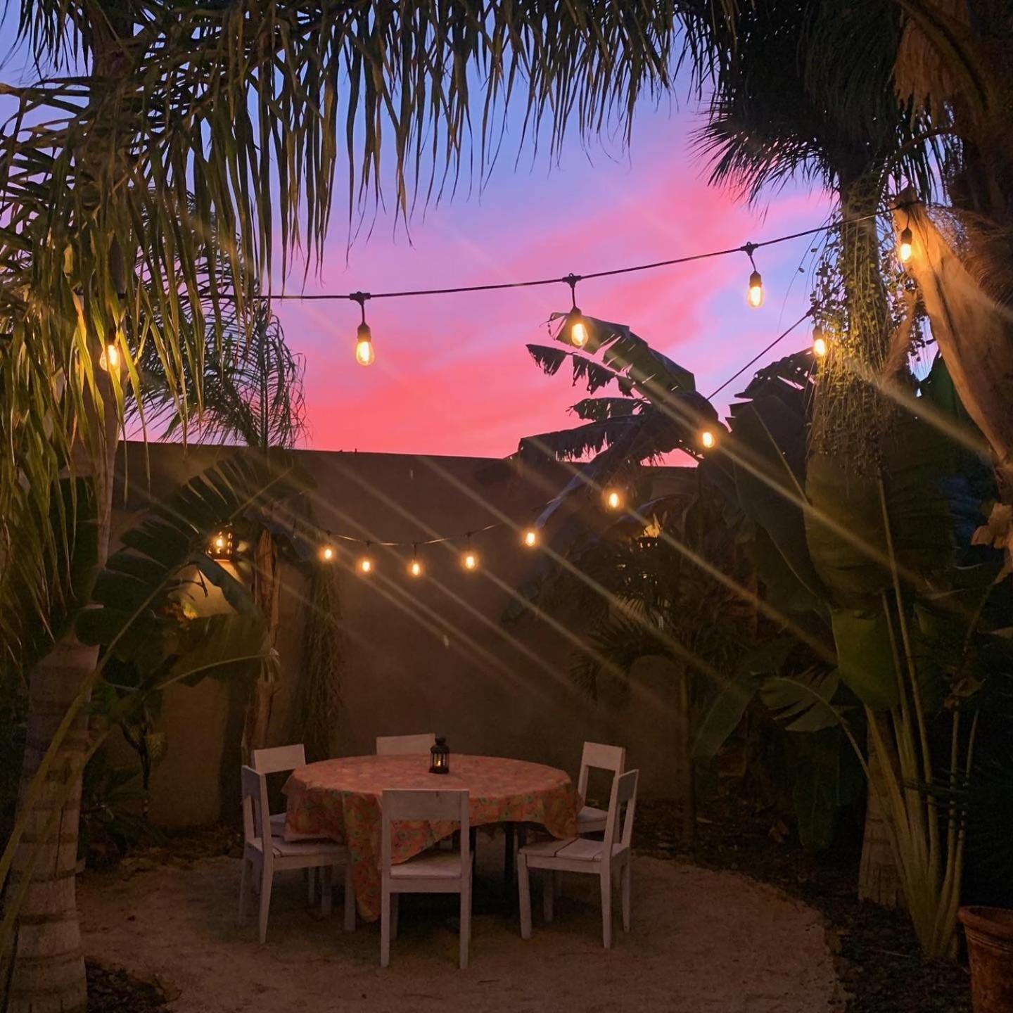 Pure Baja Private Suites-Upscale Property With Infinity Pool And Lush Gardens El Pescadero  Ngoại thất bức ảnh