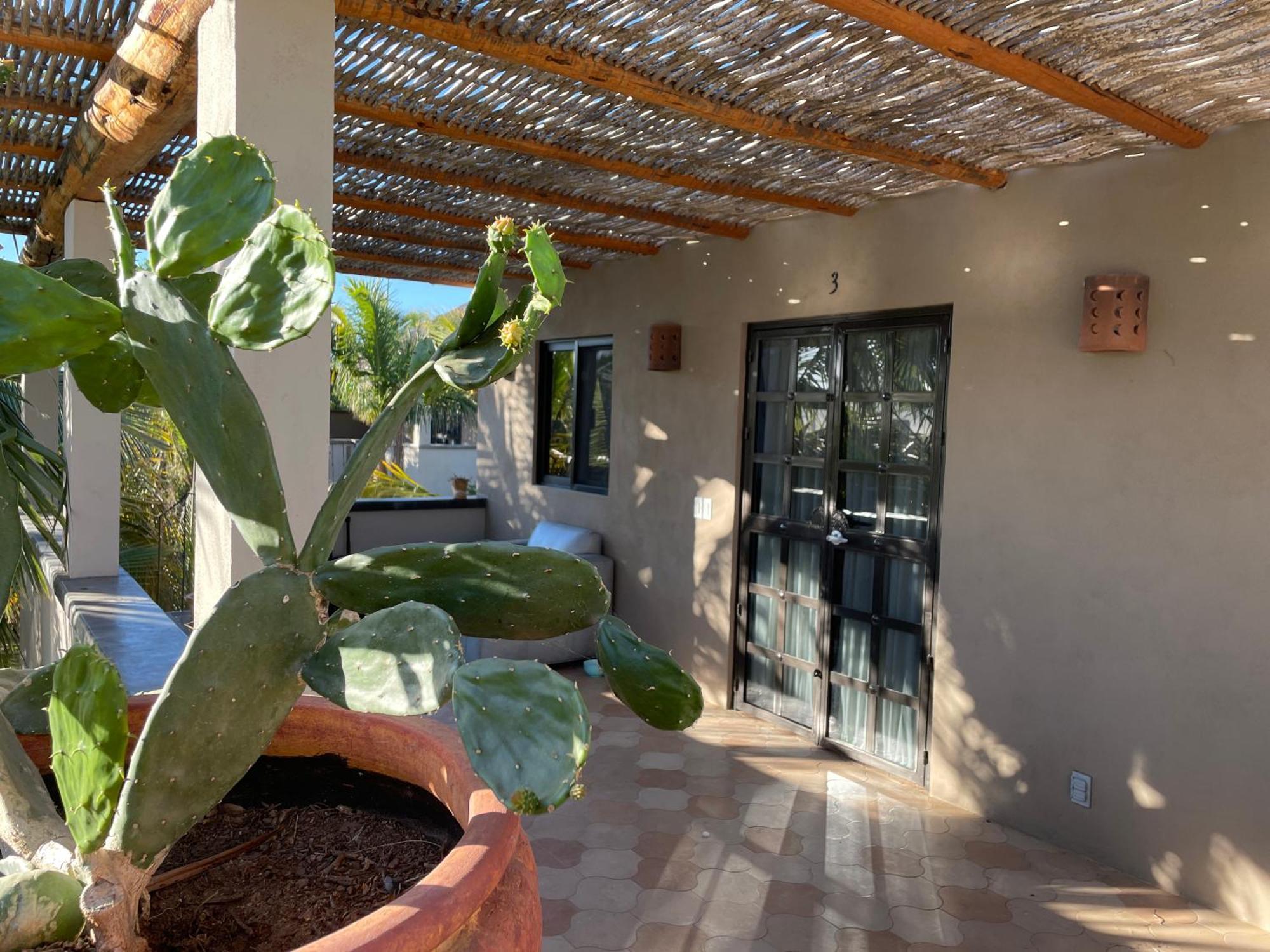 Pure Baja Private Suites-Upscale Property With Infinity Pool And Lush Gardens El Pescadero  Ngoại thất bức ảnh